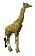 giraffe_lookaround_lg_clr_thumb.gif